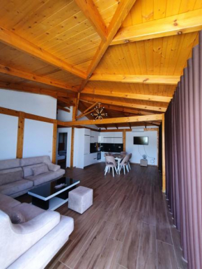 Deluxe wooden villa
